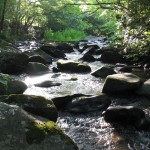 Creek besides Lindsey Mill Cabin